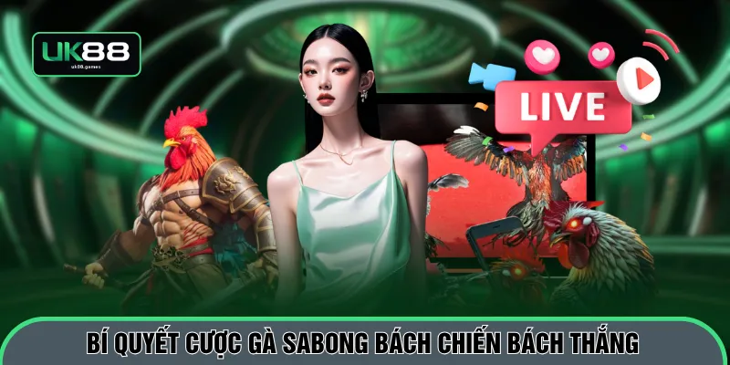 Bí quyết cược gà Sabong bách chiến bách thắng