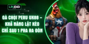 Gà Chọi Peru UK88 - Khả Năng Lật Kèo Chỉ Sau 1 Pha Ra Đòn