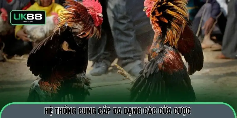 Hệ thống cung cấp đa dạng các cửa cược