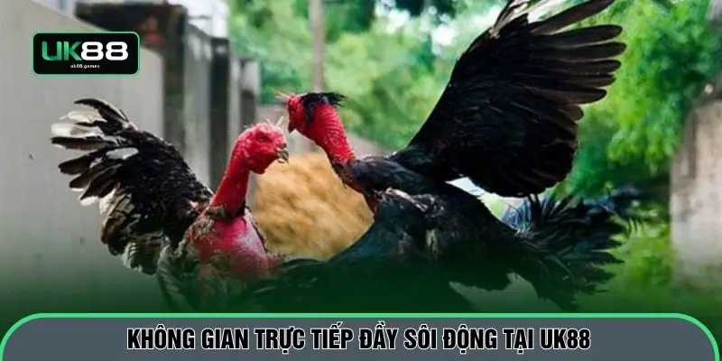 Không gian trực tiếp đầy sôi động tại UK88